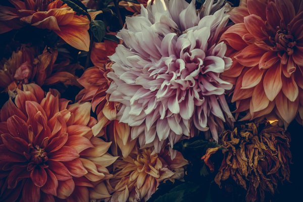 Les différentes étapes d'un ravalement de façade