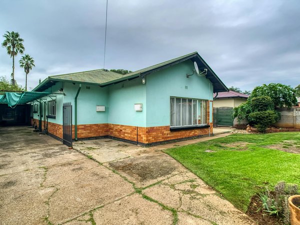 Hamac moustiquaire : la protection idéale pour votre détente en plein air