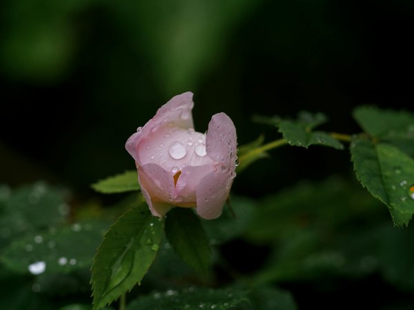 Rénovation en 2025 : astuces pour financer vos travaux facilement