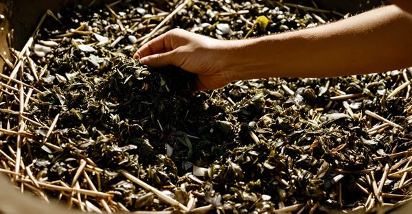 Limiter les déchets au quotidien : astuces et produits zéro déchet